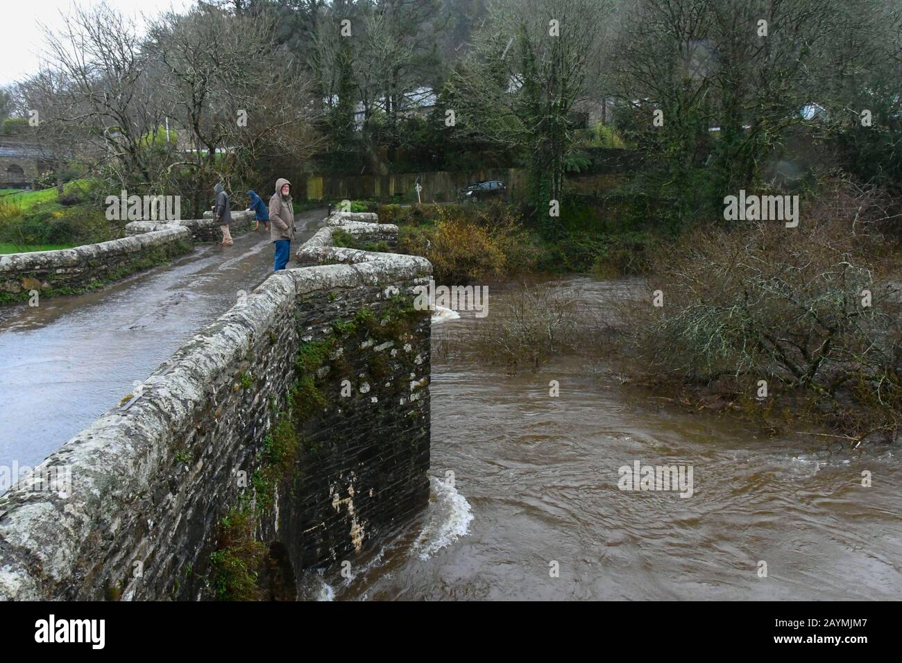 Staverton, Devon, UK.  16th February 2020.  UK Weather.  The River Dart at Staverton in Devon has bursts its banks due to heavy rain from Storm Dennis.  Picture Credit: Graham Hunt/Alamy Live News Stock Photo