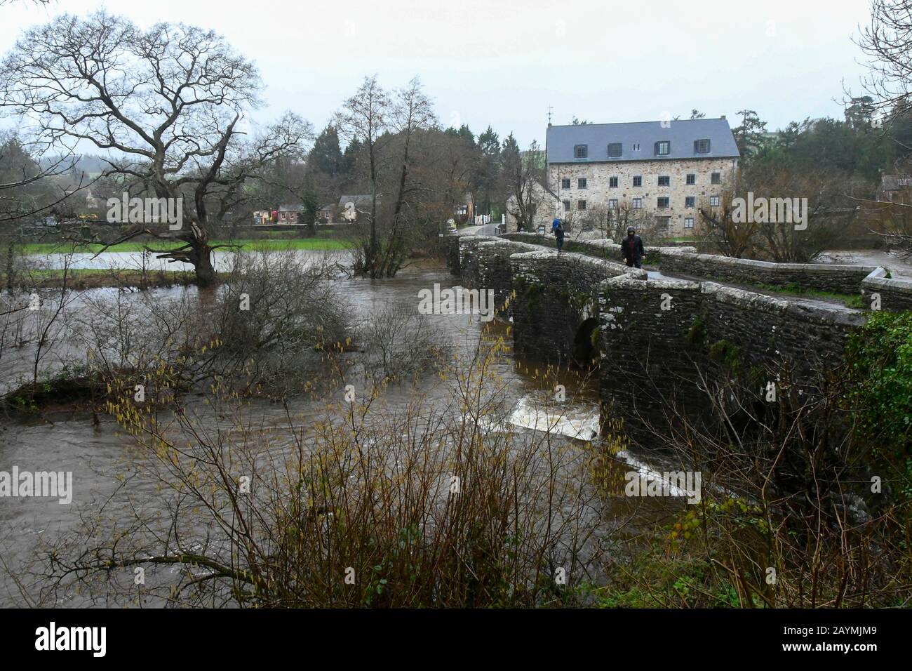 Staverton, Devon, UK.  16th February 2020.  UK Weather.  The River Dart at Staverton in Devon has bursts its banks due to heavy rain from Storm Dennis.  Picture Credit: Graham Hunt/Alamy Live News Stock Photo