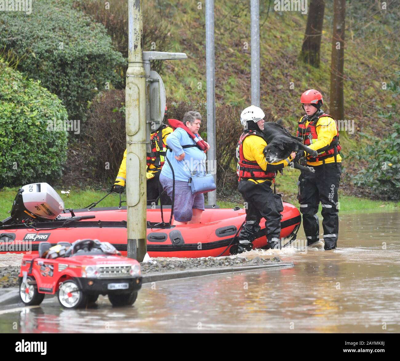 Rescue workers and dog hi-res stock photography and images - Alamy