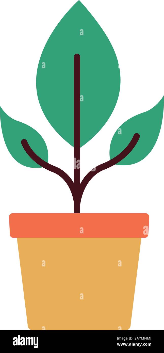 house plant in ceramic pot flat style Stock Vector Image & Art - Alamy
