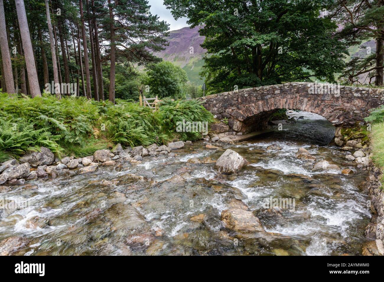 Bridge over Nether Beck at Wasdale, Lake District National Park, Cumbria, England, Uk Stock Photo