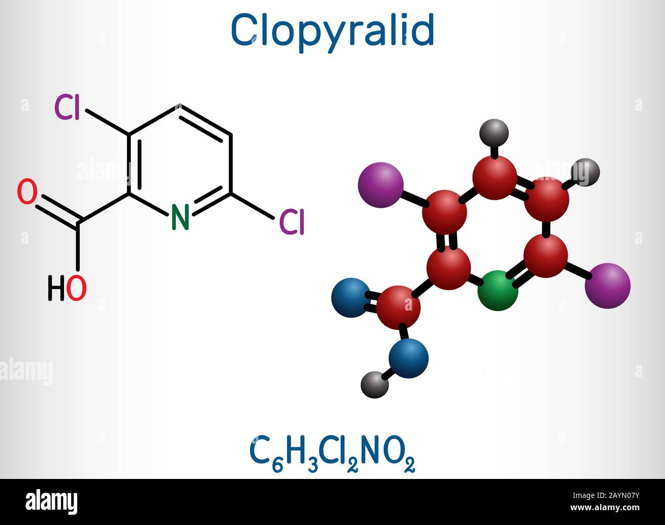 Clopyralid, C6H3Cl2NO2 molecule. It is herbicide, organochlorine pesticide. Structural chemical formula and molecule model. Vector illustration Stock Vector