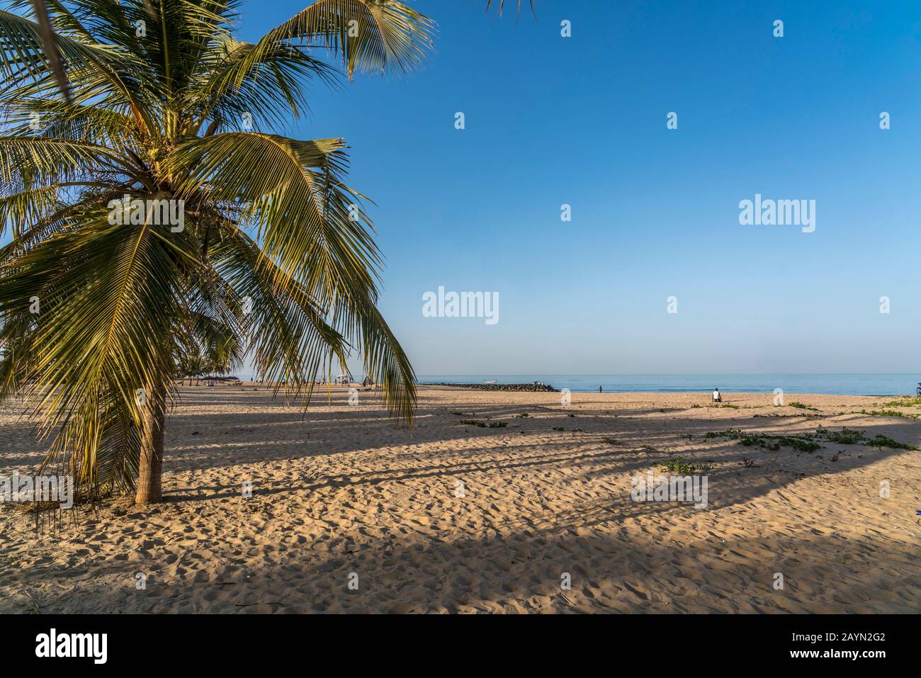 Kokospalmen am Strand von Cape Point, Bakau, Gambia, Westafrika  |  palm fringed Cape Point beach, Bakau, Gambia, West Africa, Stock Photo