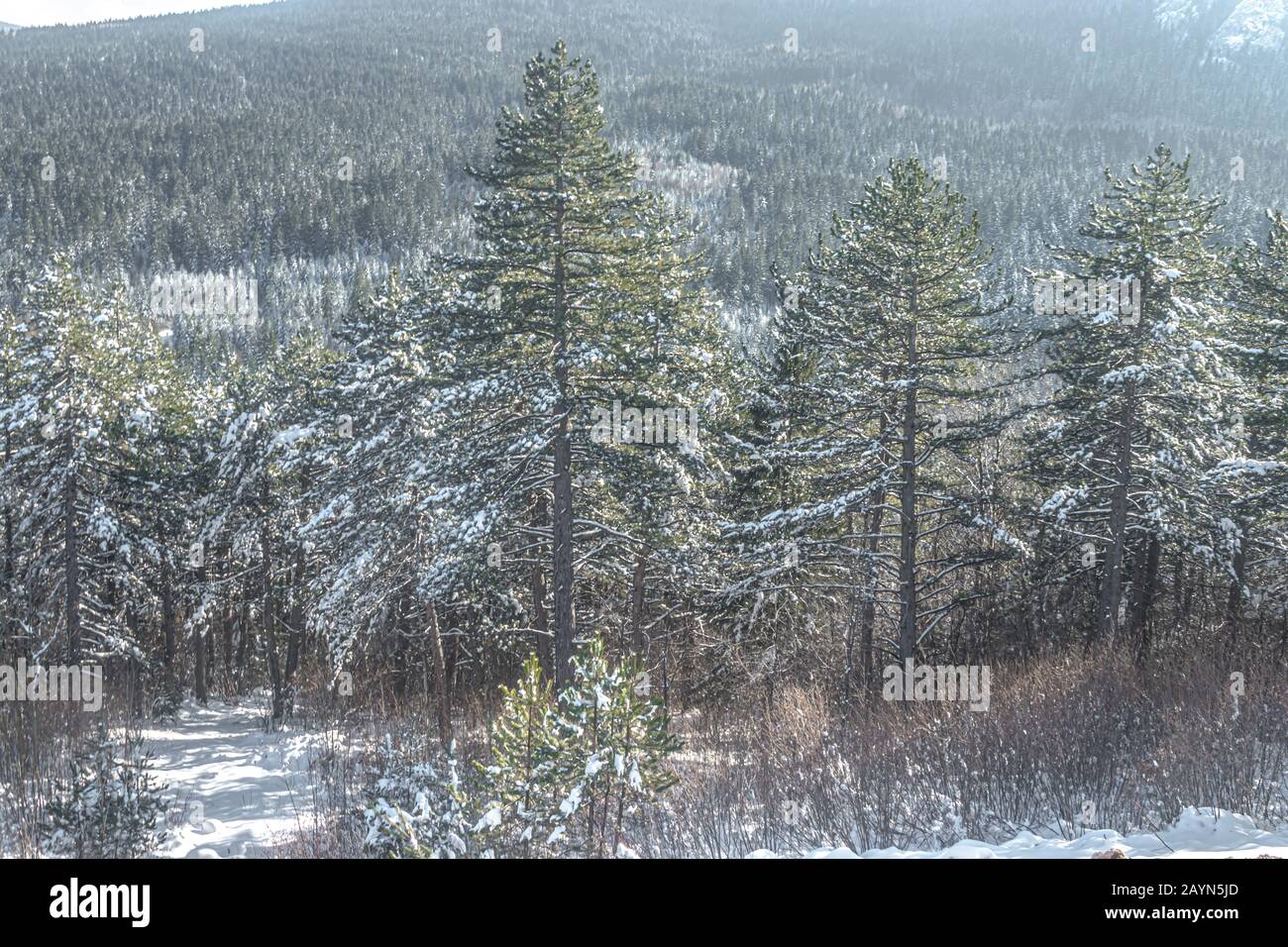 Trebevic hi-res stock photography and images - Alamy
