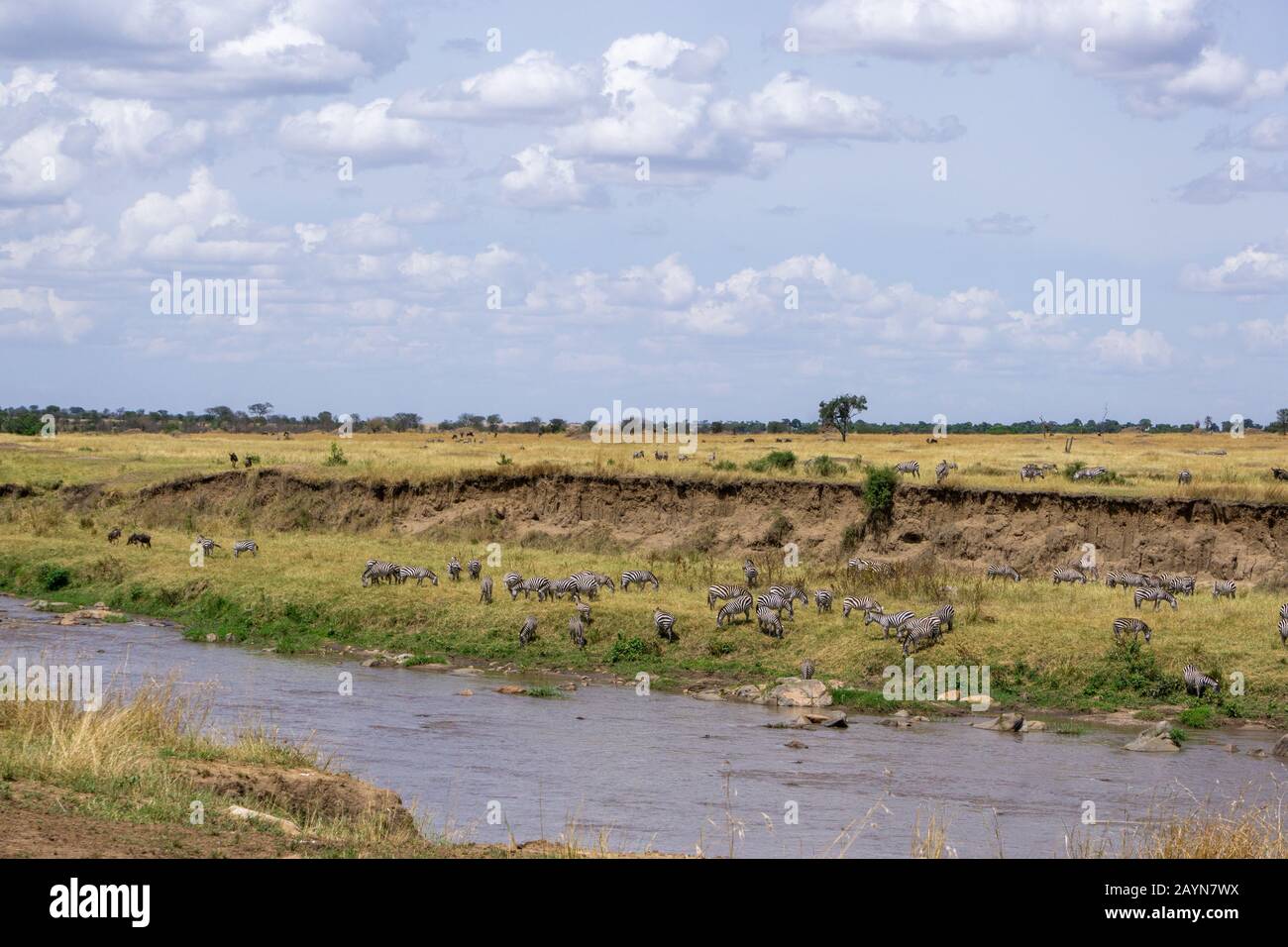 Masai mara river game reserve hi-res stock photography and images - Alamy