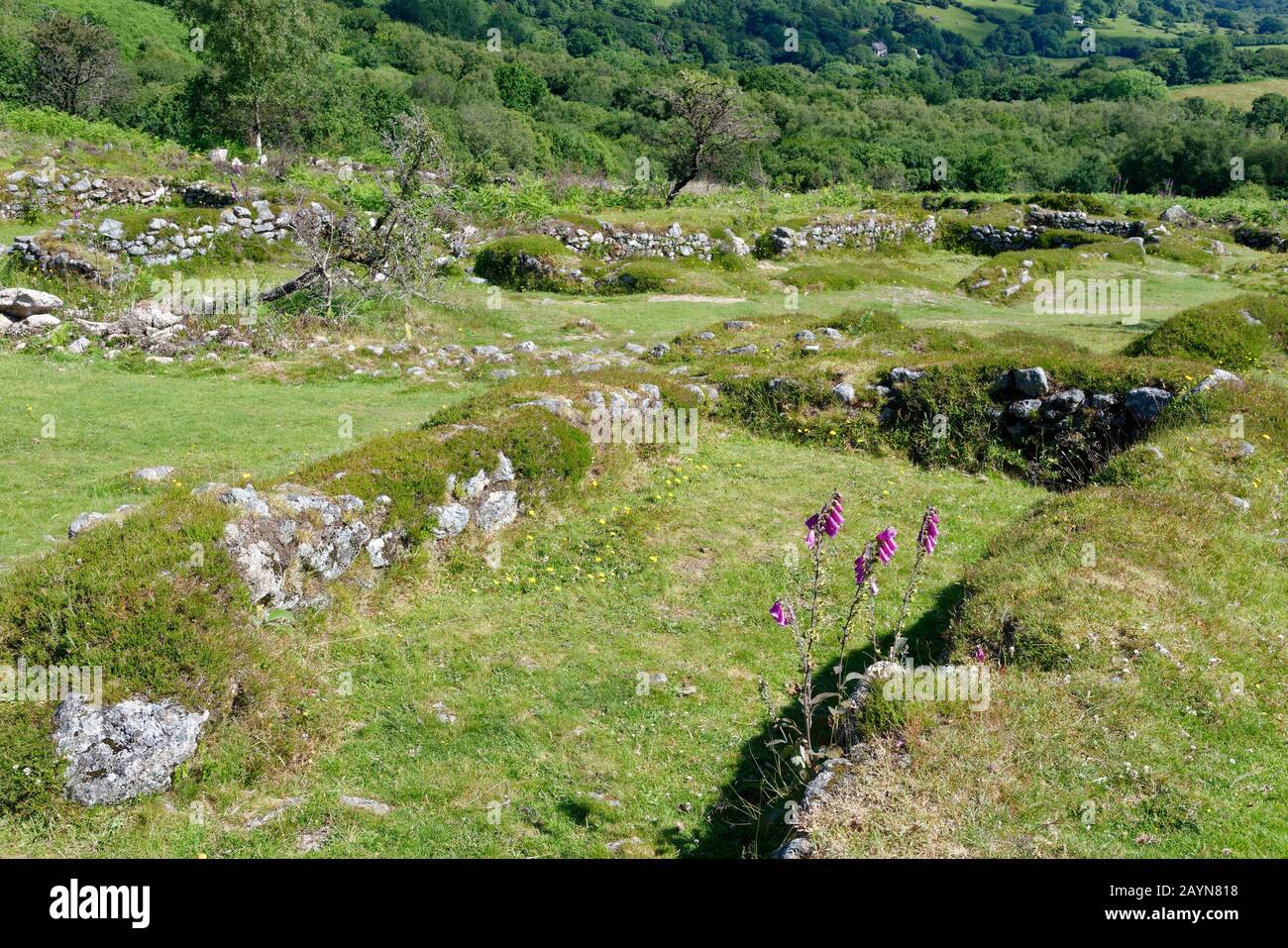 Hundatora, Hound Tor Deserted 13th century Medieval Village, Dartmoor, Devon, UK Stock Photo