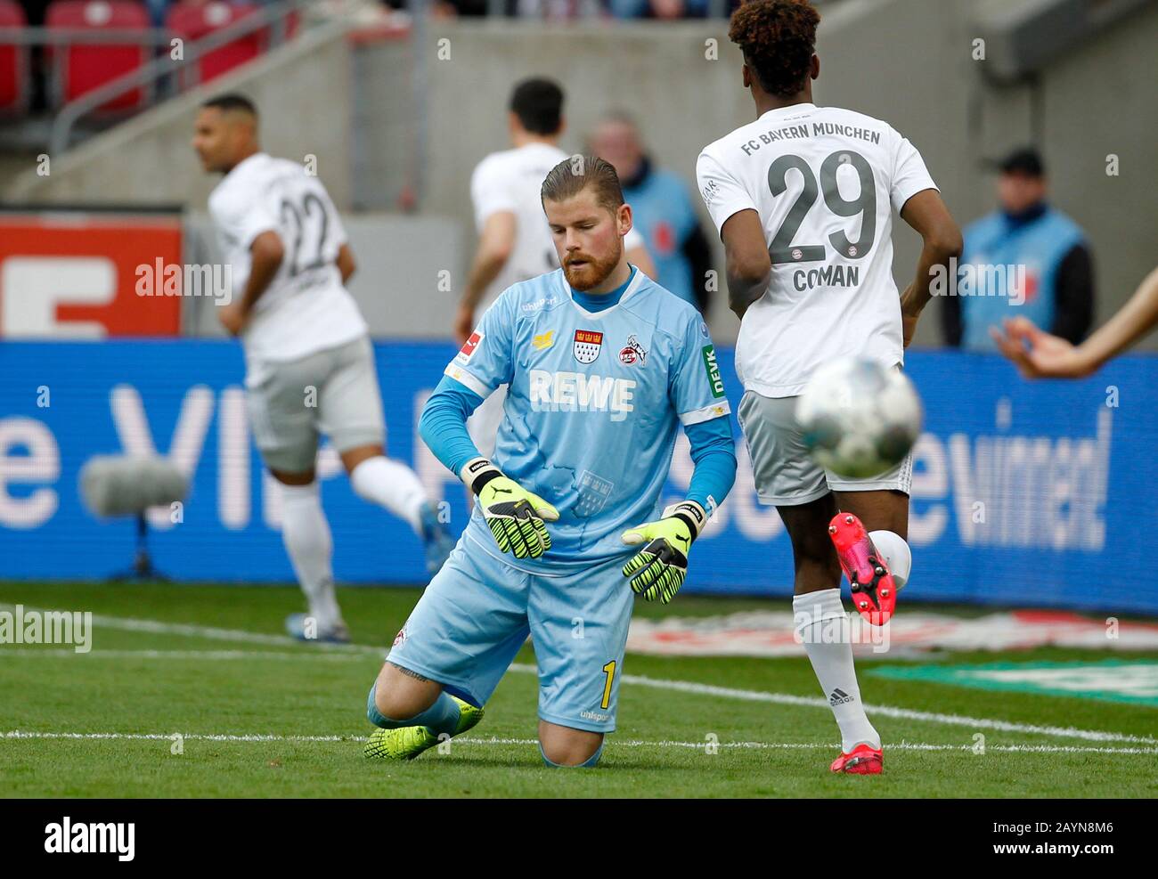 Koeln, Germany, RheinEnergieStadion, 16th Feb 2020: Goalkeeper Timo Horn of Koeln are disappointed after the 0:1 goal from Robert Lewandowski of Muenchen during the first Bundesliga match 1.FC Koeln vs. FC Bayern Muenchen in the season 2019/2020.  DFL regulations prohibit any use of photographs as image sequences and/or quasi-video. Credit: Mika Volkmann/Alamy Live News Stock Photo