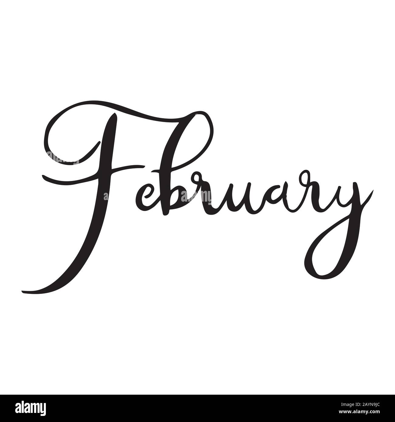 Hand Drawn Calligraphy Lettering Month February Handwritten Phrase For
