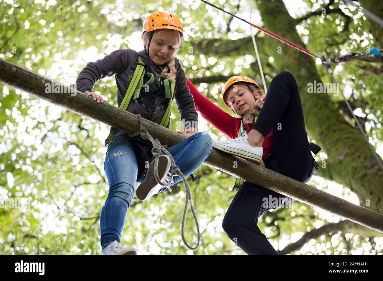 Teenagers on outdoor pursuit course Stock Photo