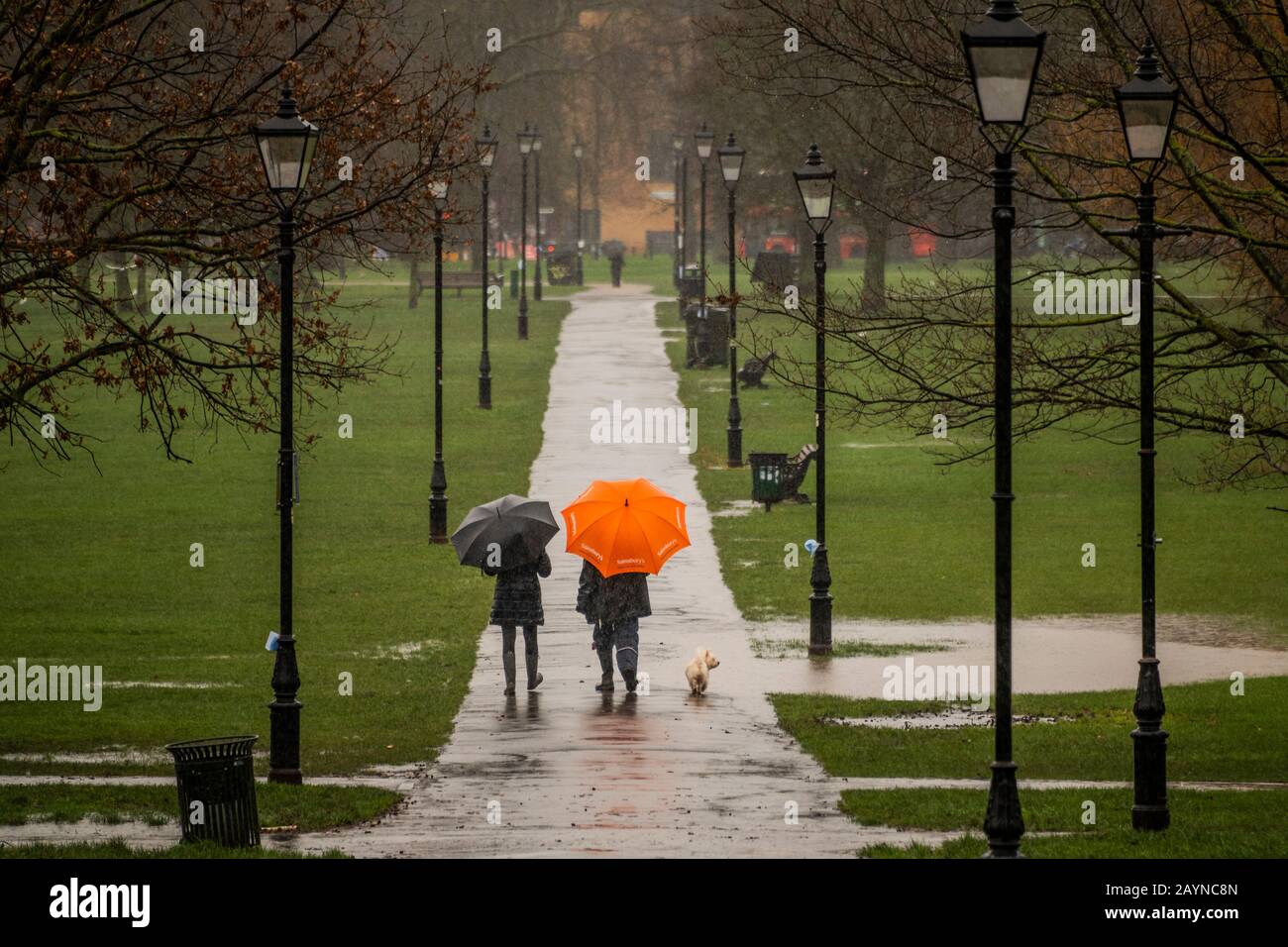 London Uk 16th Feb 2020 Exercise Walking Dogs And Jogging