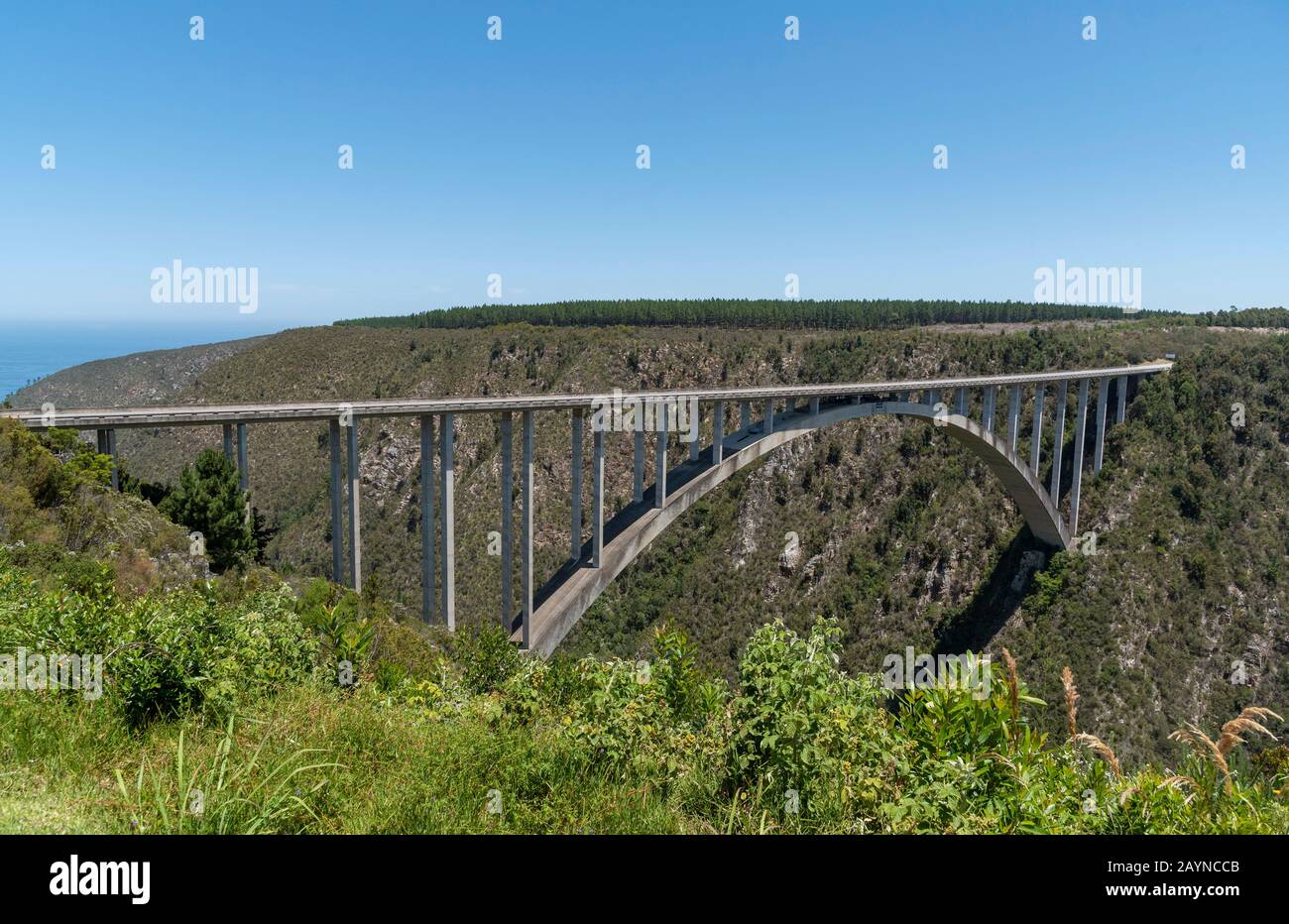 Bloukrans Bridge, Eastern Cape, South Africa. Dec 2019. Bloukraans Bridge carrying a toll road 216 metres above the gorge through the garden route in Stock Photo
