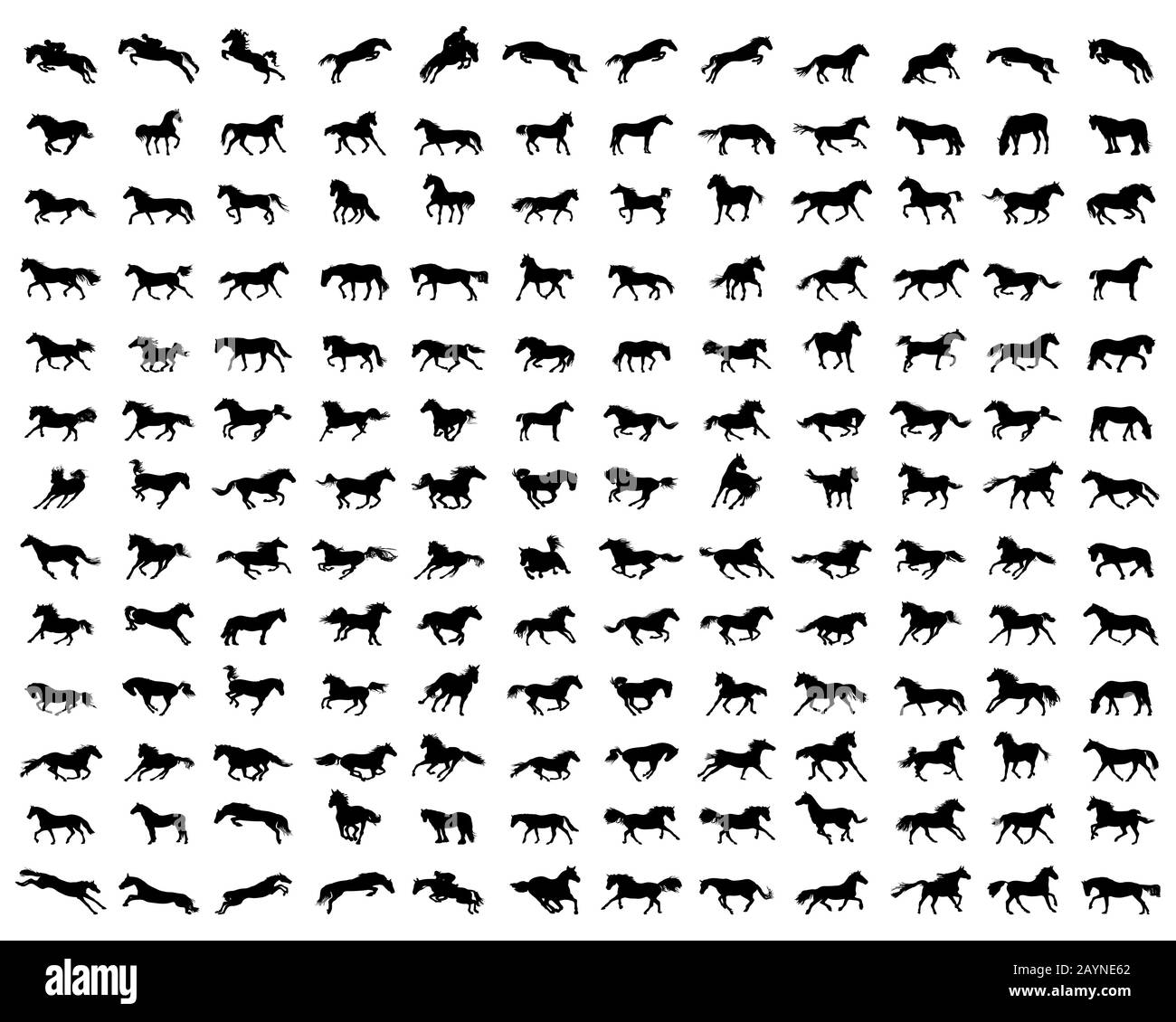 Big set of horses silhouettes on a white background Stock Photo