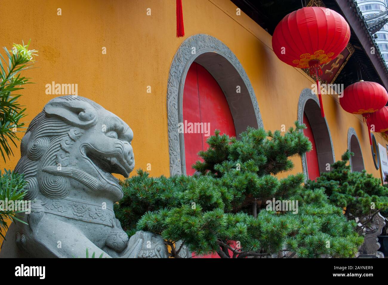 Lion stone guardians and red lanterns in front of the Jade Buddha Temple, a Buddhist temple in Shanghai, China. Stock Photo