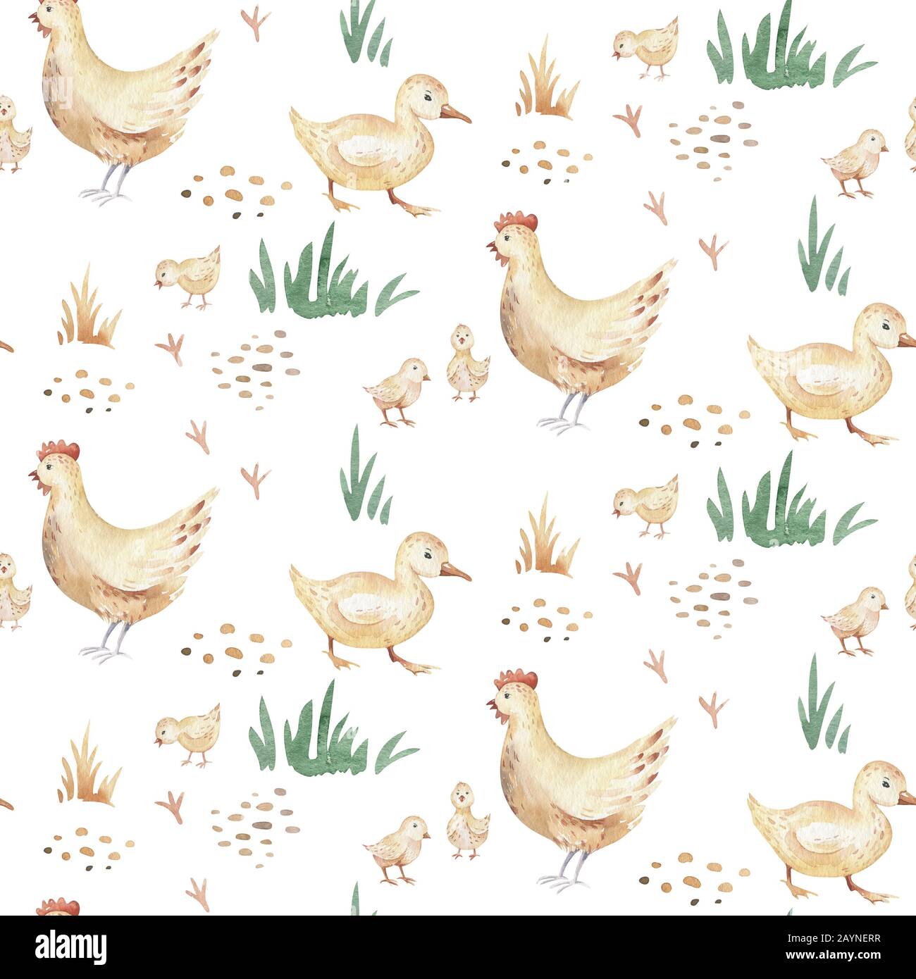 Hen wallpaper Cut Out Stock Images \u0026 Pictures - Page 2 - Alamy, image size:1300x1390