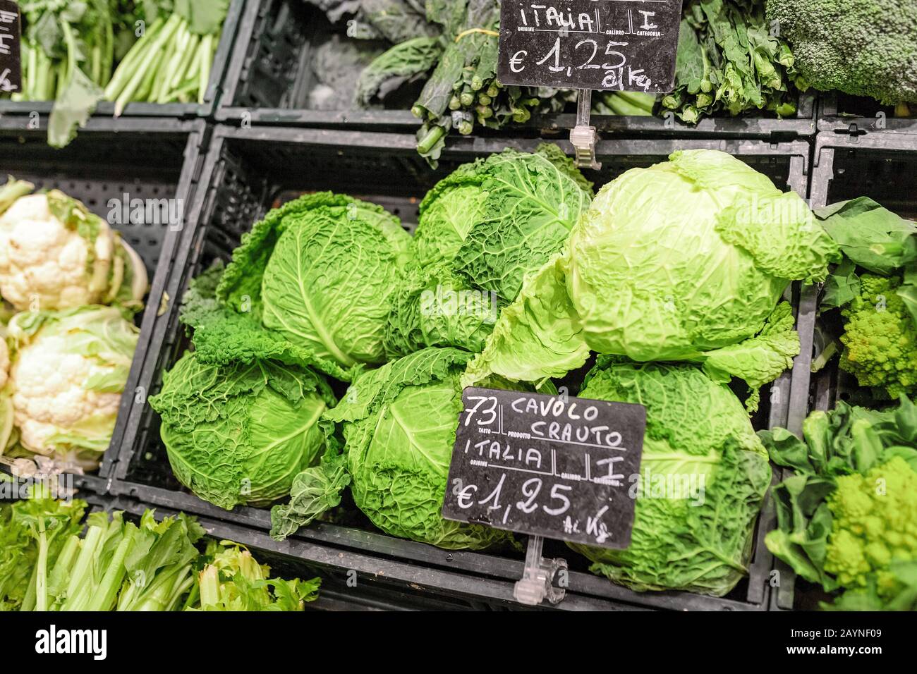 Cabbage for sale hi-res stock photography and images - Alamy