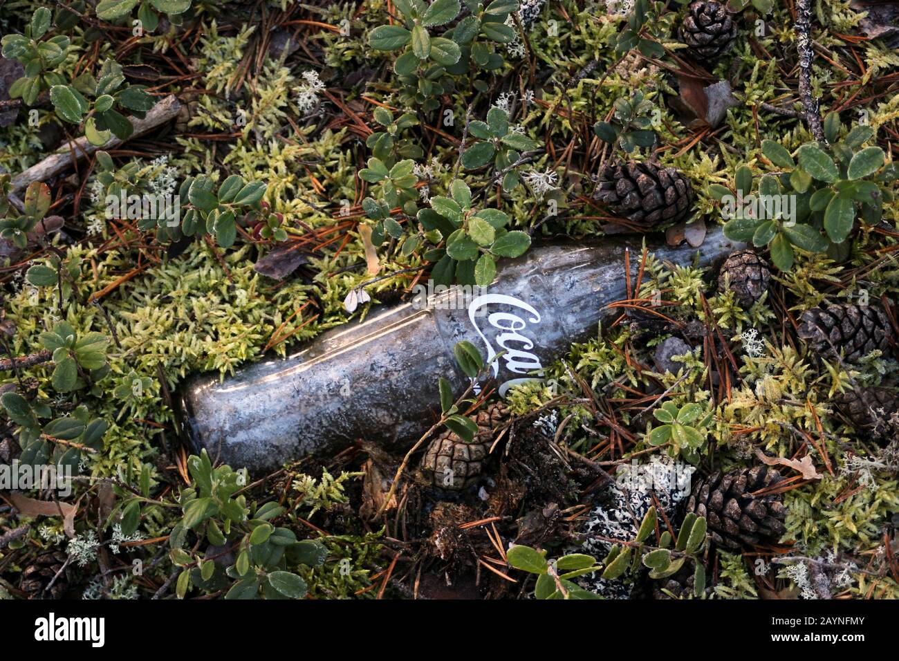 Empty old Coca-Cola bottle has been so long in nature that moss is growing  over it . Finnish Lapland Stock Photo - Alamy