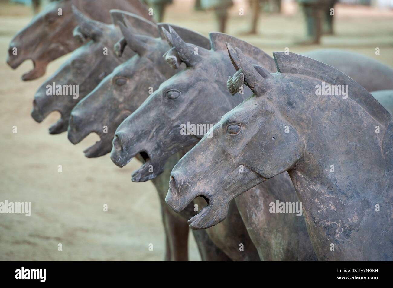 Horse statues of the Terracotta Army in the Terracotta Warriors and