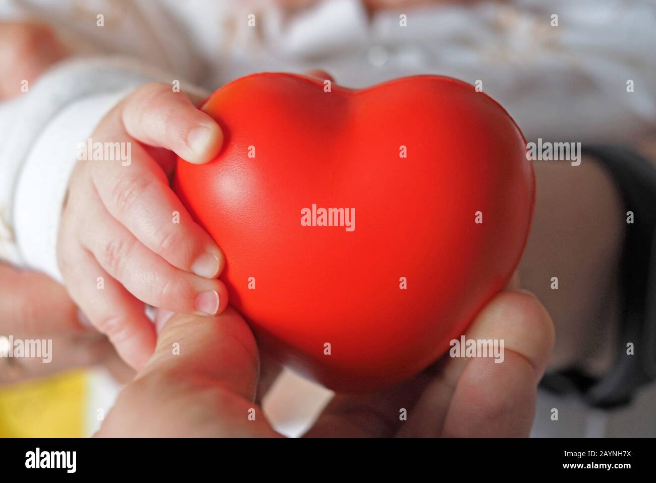 A mother holds a red heart with a small child in her hands. Concept of maternal love, child health Stock Photo