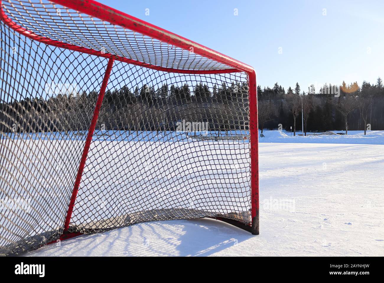 Side view of a hockey net on a skating pond Stock Photo Alamy