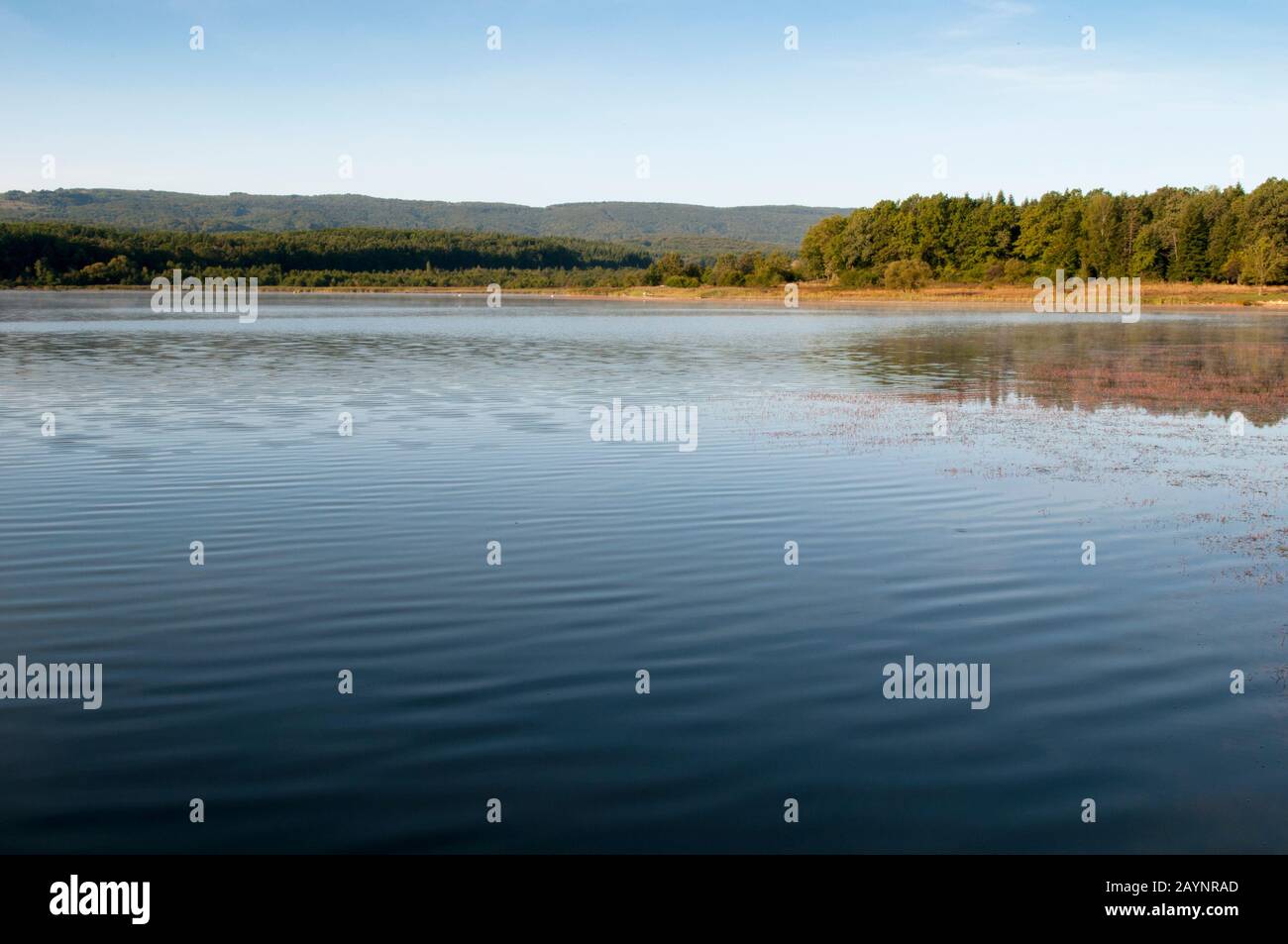 lake in forest in autumn with forest in the background Stock Photo - Alamy