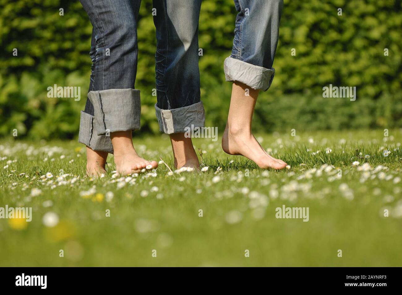 Beine Stock Photo