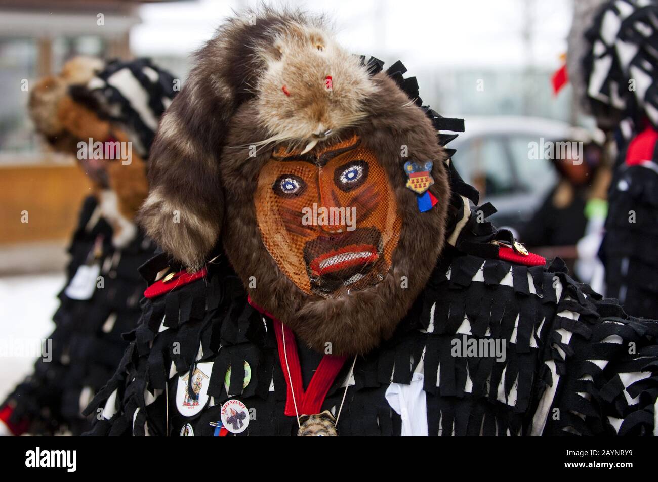 Narren hi-res stock photography and images - Alamy