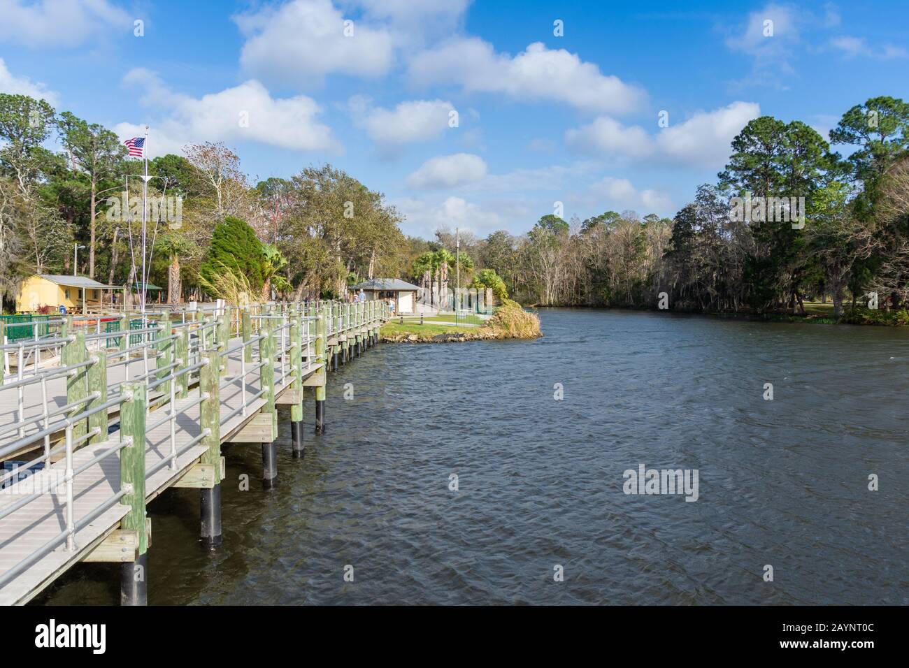 King's Bay Park is a popular local attraction in Crystal River