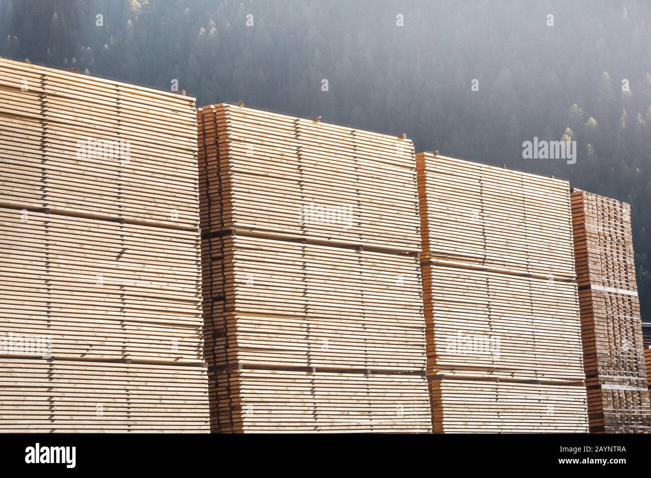 Stack of new wooden planks near sawmilll outdoors Stock Photo