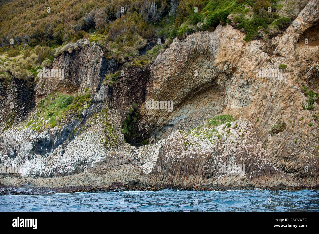 View of volcanic rockformations along the coastline of Campbell Island, a sub-Antarctic Island in the Campbell Island group, New Zealand. Stock Photo