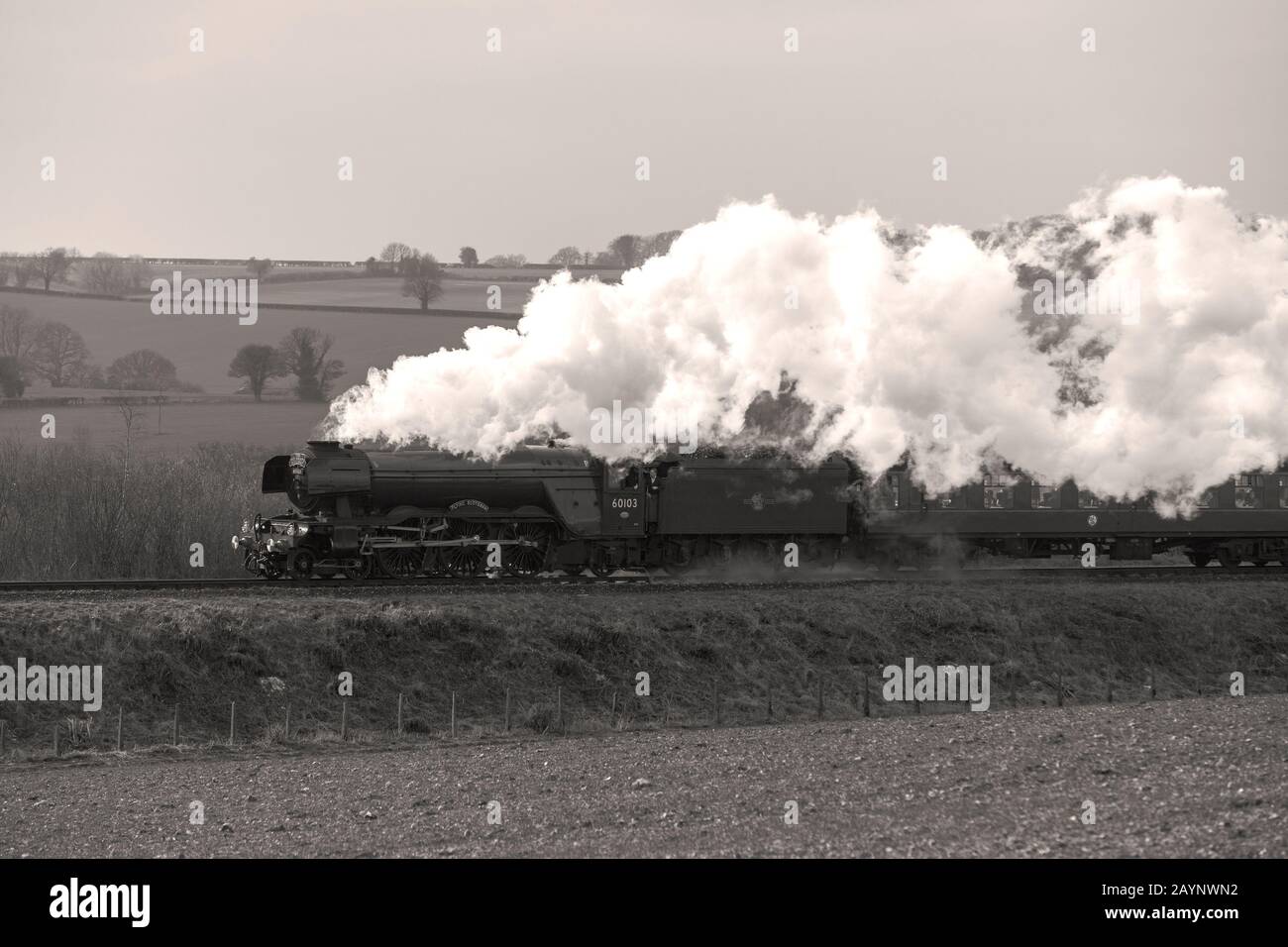 World Famous Flying Scotsman steam train running on the Watercress line in Hampshire. Present at the reopening of the full Alresford to Alton Line. Stock Photo