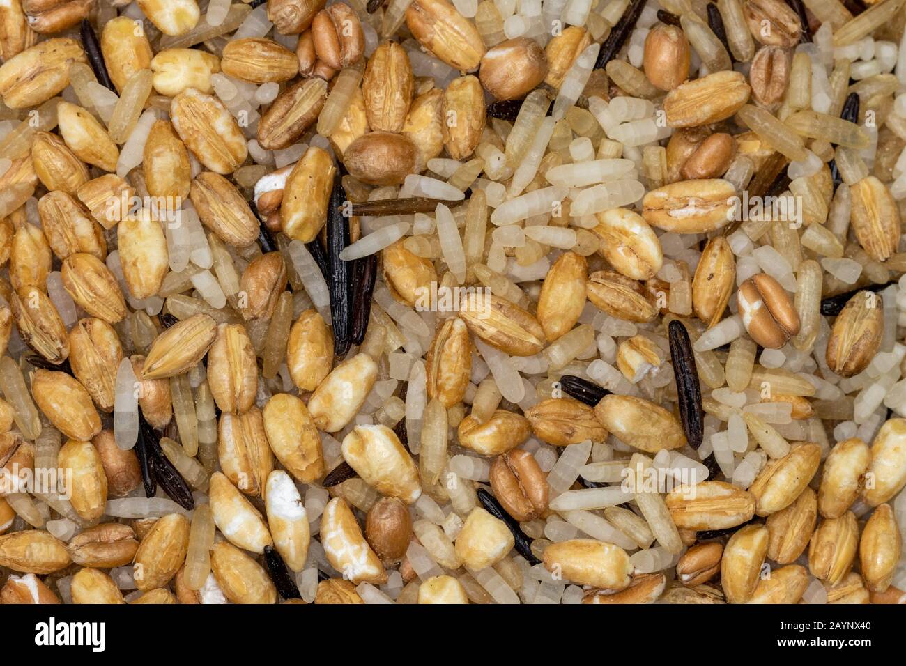 Layer of mixed wild rice and grains Stock Photo Alamy