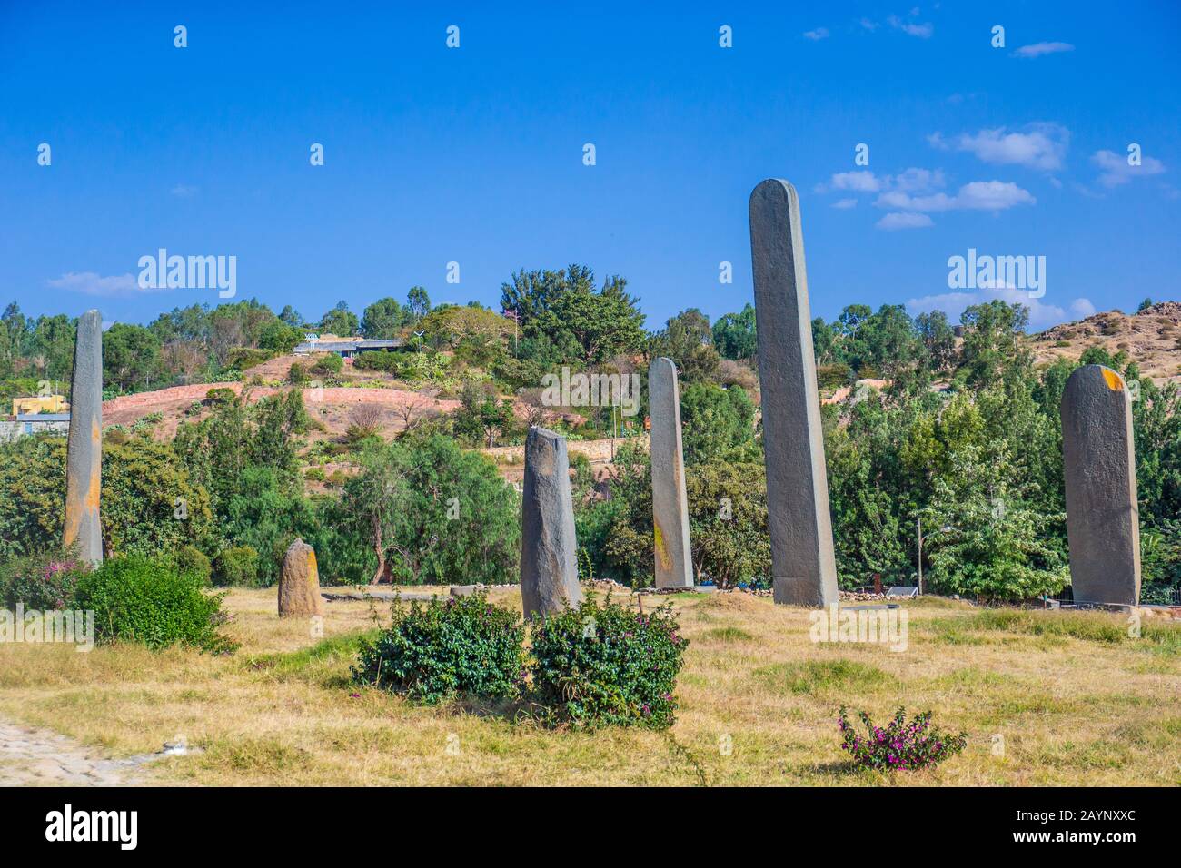 The ancient obelisks from the 4th century in Aksum, Ethiopia Stock Photo