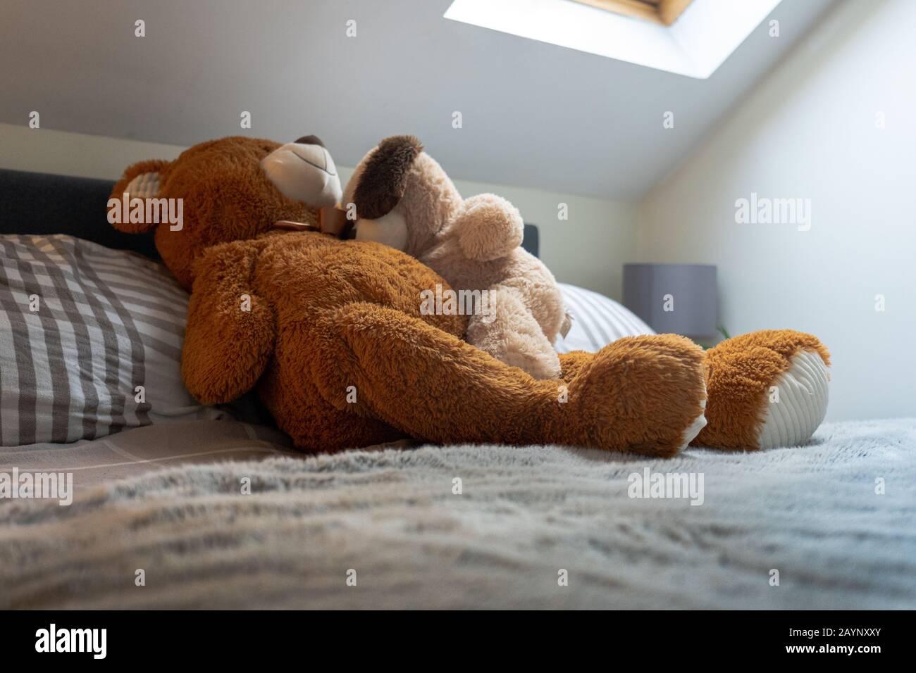 A modern bedroom lit by a skylight with two teddy bears cuddling on the bed  Stock Photo - Alamy