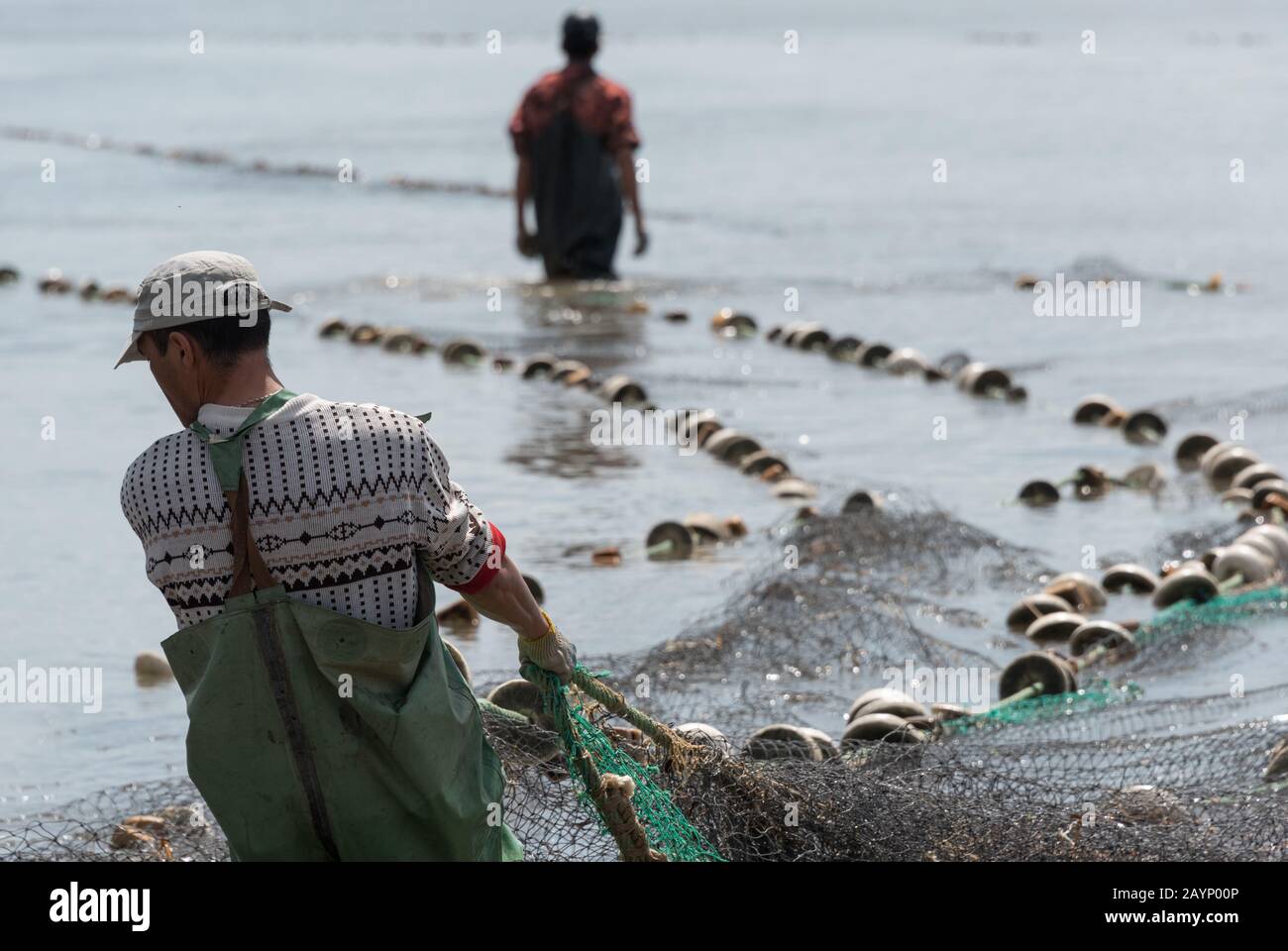 Drag net fishing hi-res stock photography and images - Page 3 - Alamy