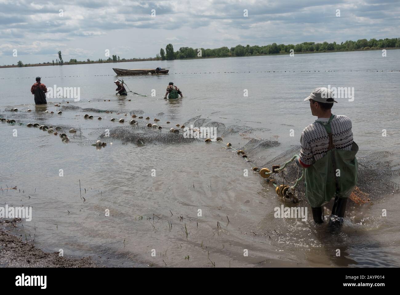 Fishermеn drag and trawls the fishing net with fish in the river