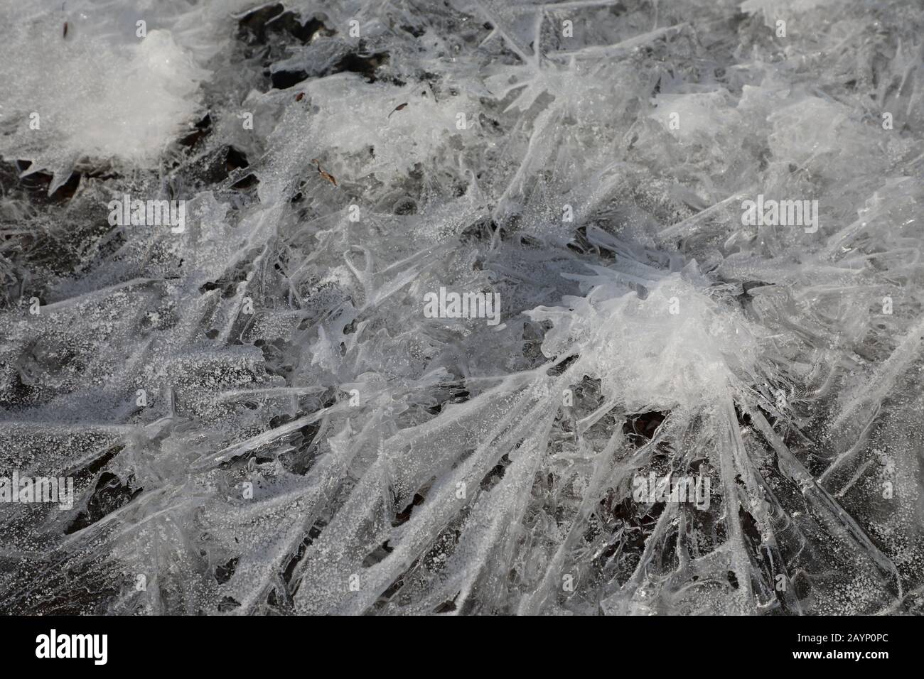 Close-up of ice or snow crystals formed on top of a lake Stock Photo
