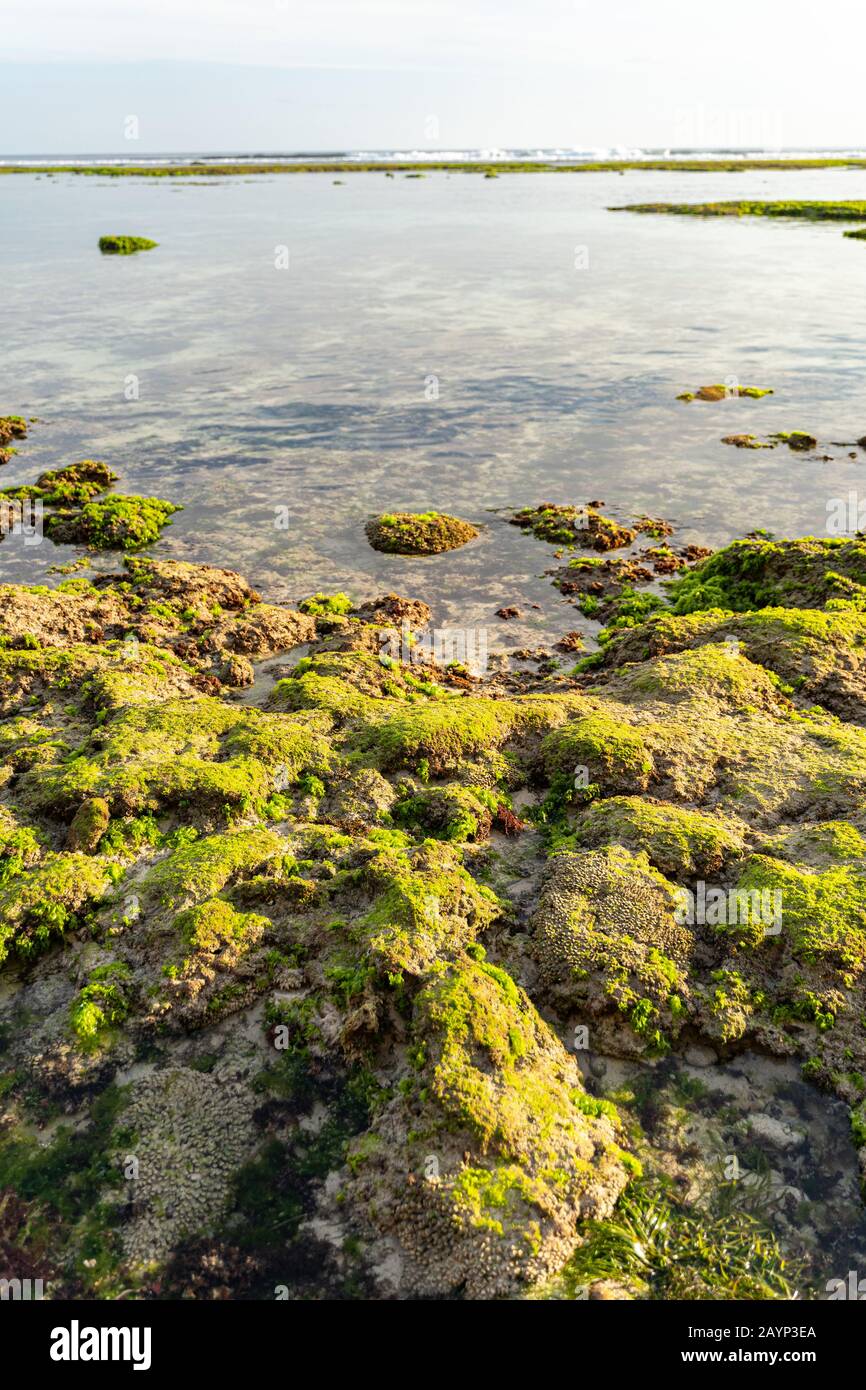 Oceanfront Rocks Rocks on coast of ocean stock photo Stock Photo - Alamy
