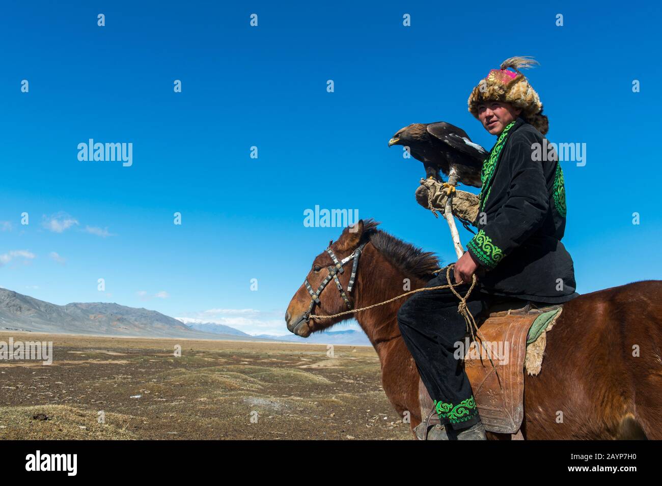 A Kazakh eagle hunter on horseback with his Golden eagle (Aquila chrysaetos) in the Sagsai Valley in the Altai Mountains near the city of Ulgii (Ölgii Stock Photo