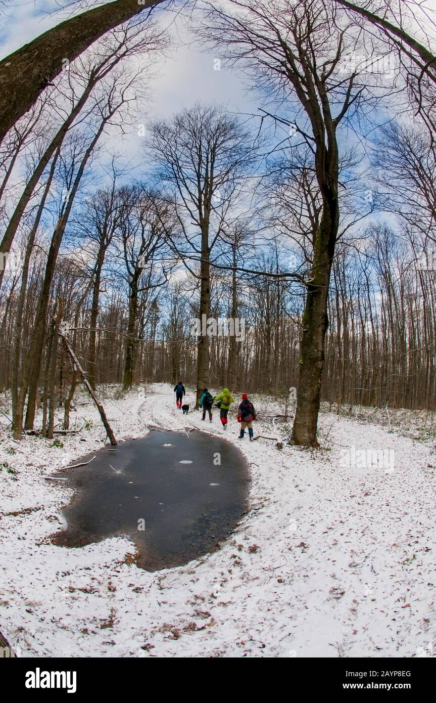 Group tourists hiking in winter hi res stock photography and images Alamy
