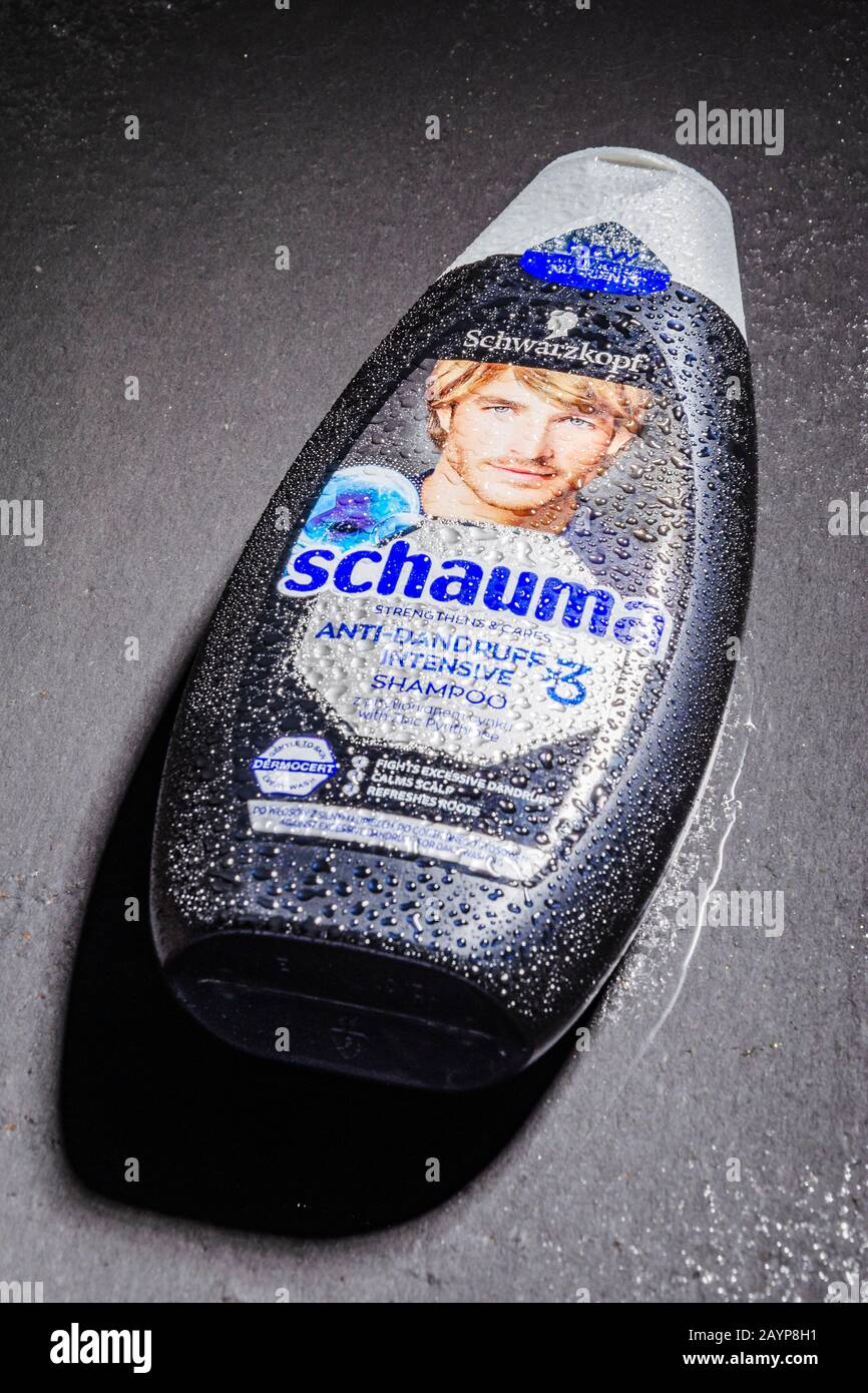 Schwarzkopf shampoo isolated on stone slate background. In 1927, liquid  shampoo was invented by Hans Schwarzkopf in Berlin whose name created  shampoo Stock Photo - Alamy