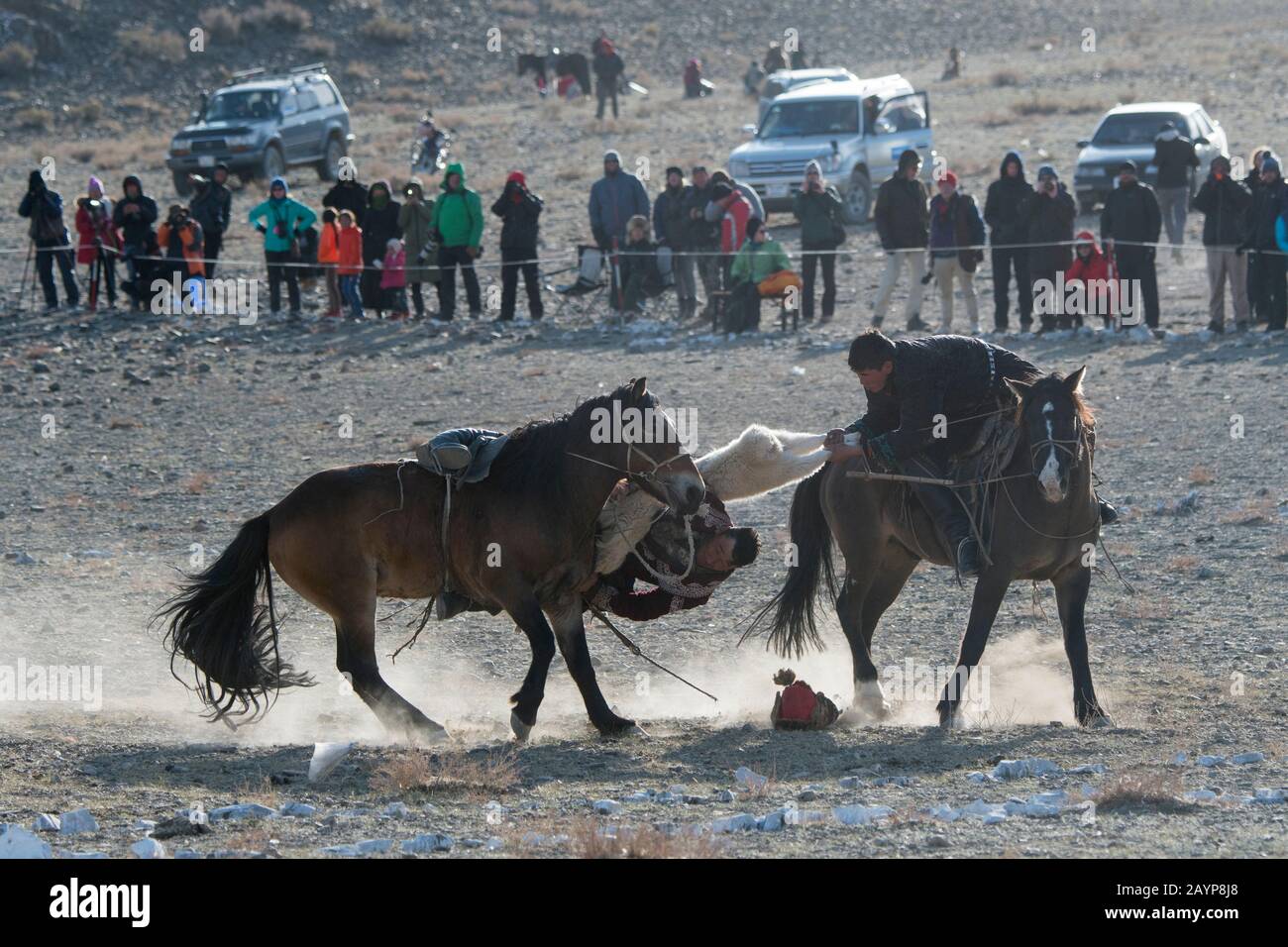 The Kokpar (goat dragging) competition is a traditional horseback