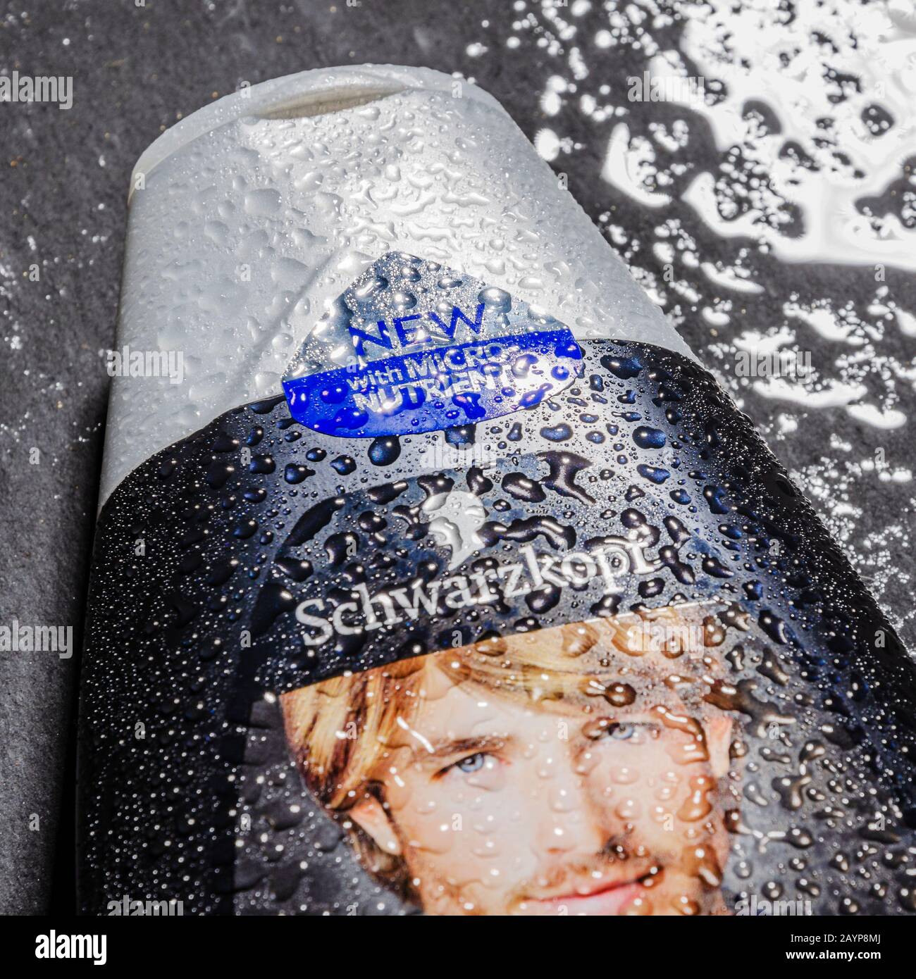 Schwarzkopf hi-res stock photography and images - Page 2 - Alamy