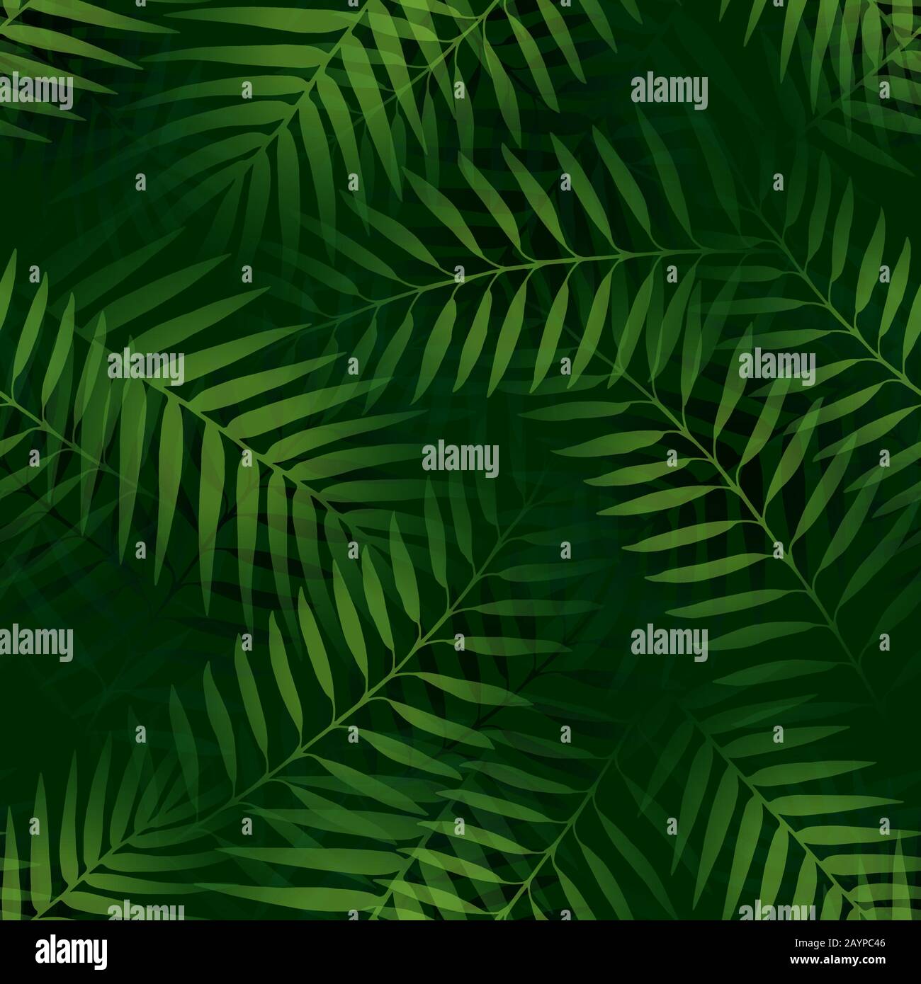 Vector Tropical palm leaves seamless pattern jungle floral ornamental ...