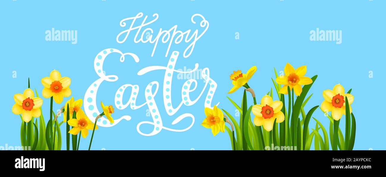 Easter blossom banner with daffodils Stock Vector