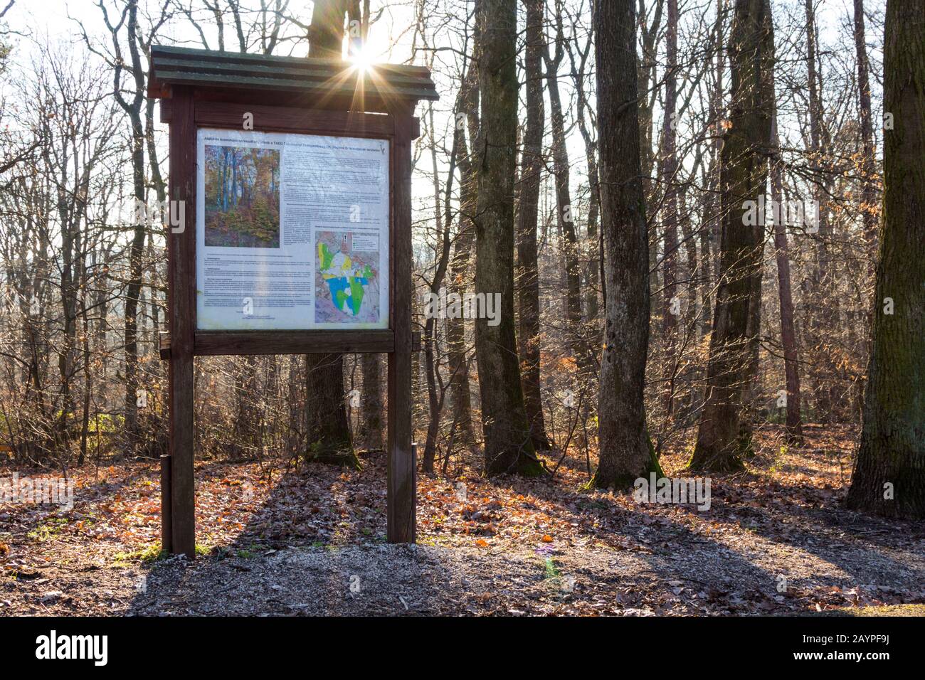 Information board about forestry by TAEG on Karoly-magaslat, Sopron Mountains,  Sopron, Hungary Stock Photo