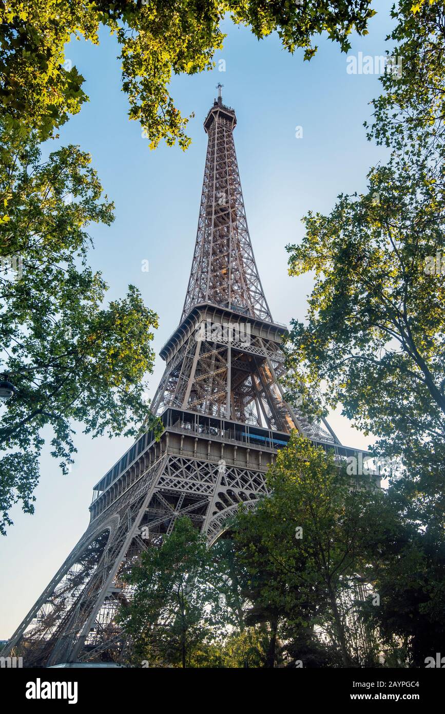 Eiffel Tower framed by trees on a sunny day Stock Photo