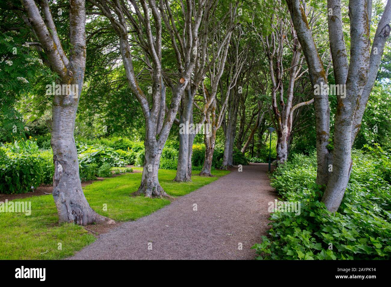60+ Botanischer Garten Akureyri, This is also known as a site of