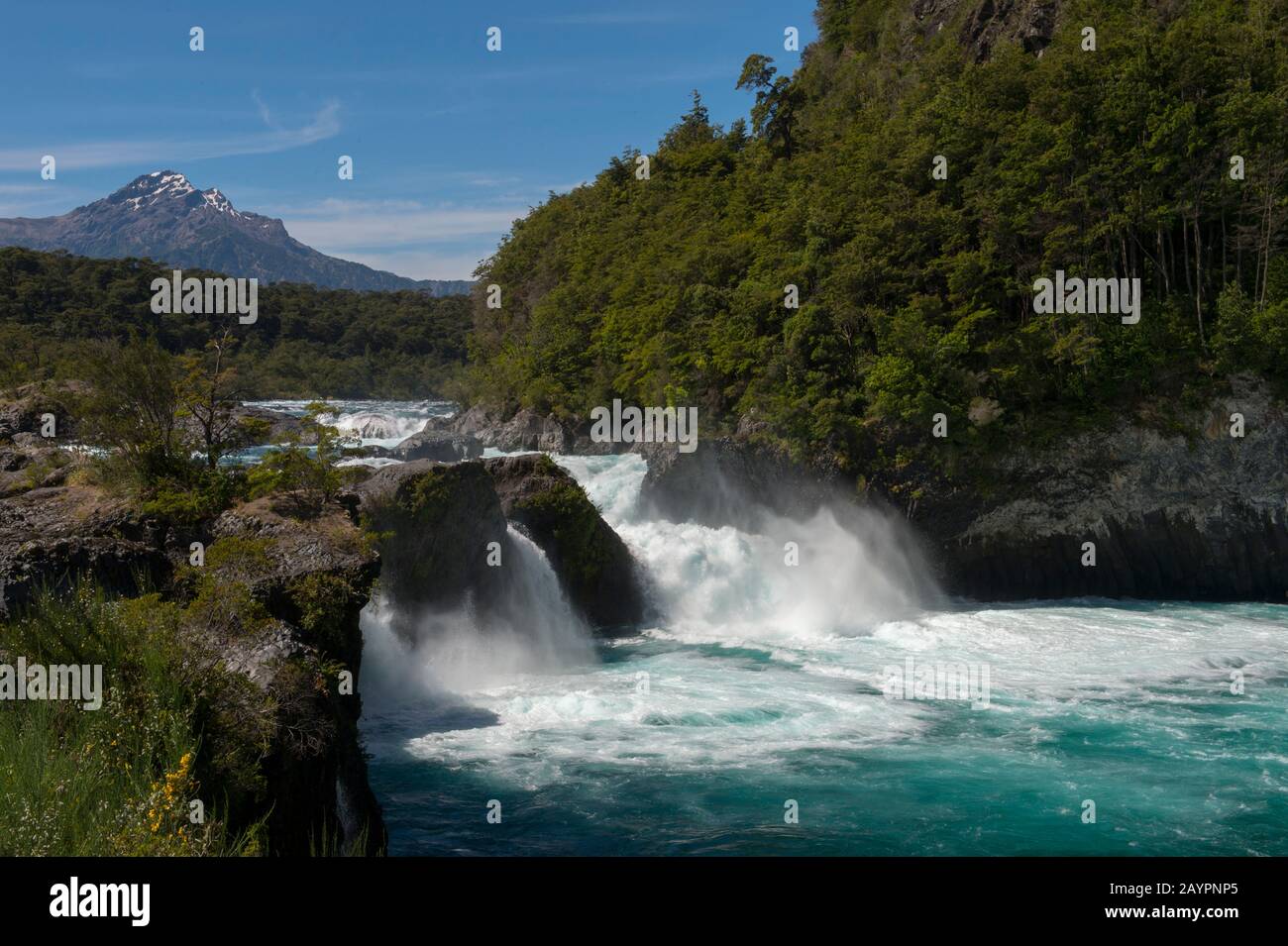 The Petrohue Rapids In Vicente Perez Rosales National Park Near Puerto Varas And Puerto Montt In The Lake District In Southern Chile Stock Photo Alamy