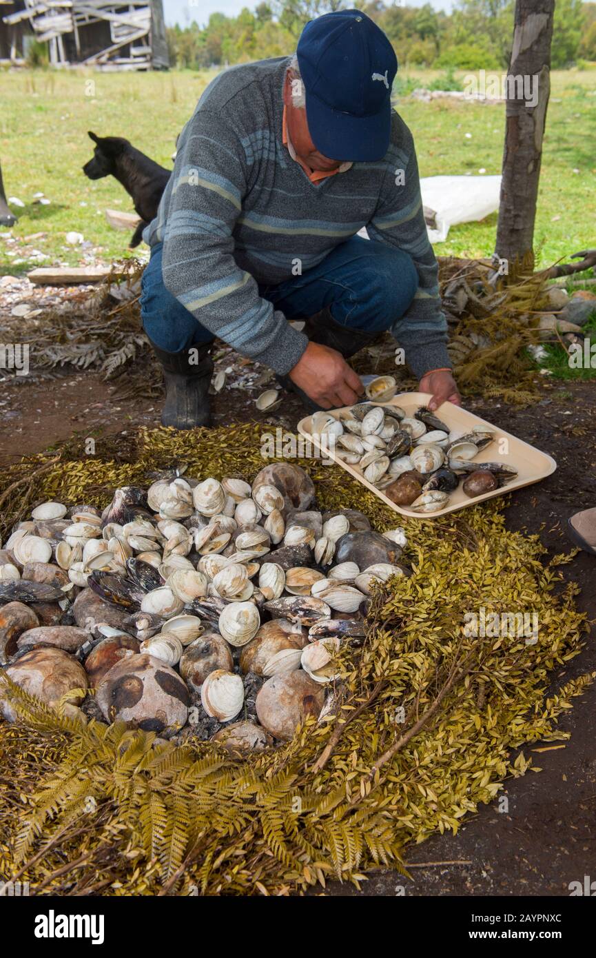 A typical Curanto, a traditional meal of the Chiloe Archipelago, in the village of Pargua in the Lake District of Chile. Stock Photo