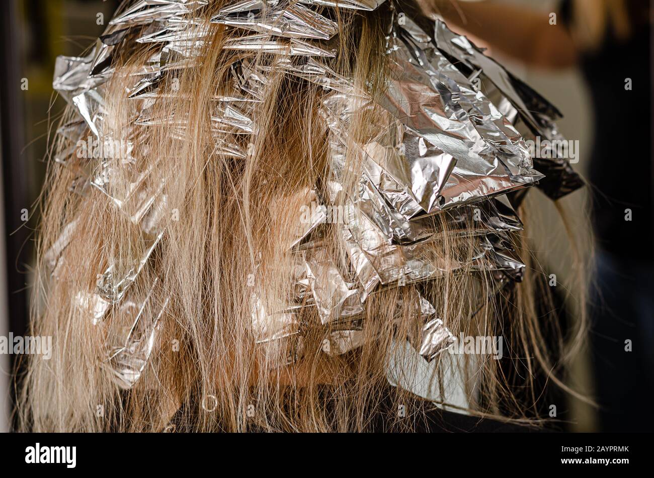 Foil on models hair. Bleaching or dyeing process. Beauty salon, fashionable  hair coloring. Copy space Stock Photo